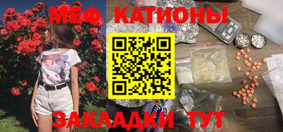 прущие грибы Донской
