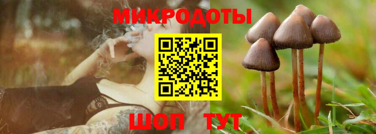 Галлюциногенные грибы мухоморы  Вход с VPN  Нальчик 